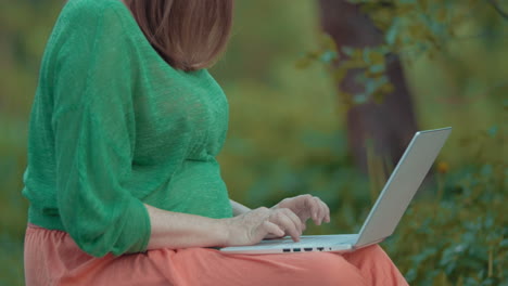 Schwangere-Frau-Arbeitet-Mit-Laptop-Im-Freien