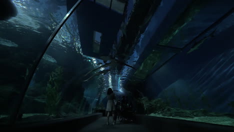 Unterwassertunnel-Im-Ozeanarium-Von-Bangkok,-Thailand