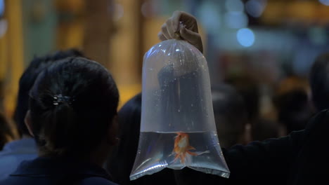 Plastic-bag-with-fish-in-crowded-street