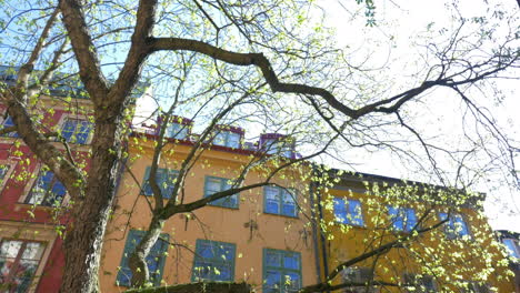 European-house-and-tree-in-bright-sunshine