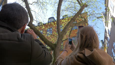 Freunde-Fotografieren-Baum-In-Stockholm