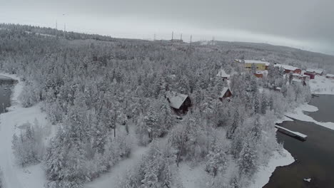 Wintererholung-In-Der-Luftaufnahme-Der-Kiefernwälder