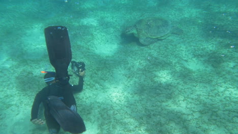 Diver-and-Big-Sea-Turtle
