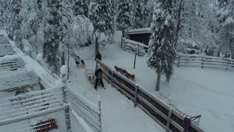 Reiten-Auf-Dem-Hundeschlitten-Im-Winterwald,-Luftaufnahme