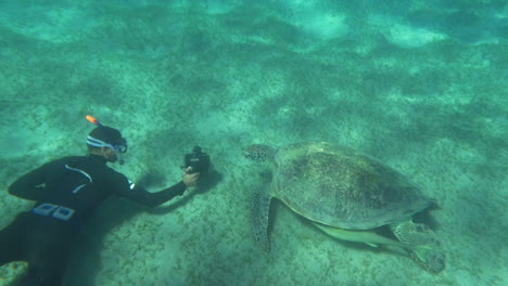 Shooting-sea-turtle-underwater