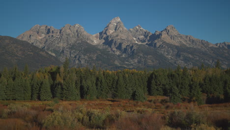 Cinematic-still-movement-Grand-Teton-National-Park-entrance-Blacktail-Ponds-Overlook-wind-in-tall-grass-fall-Aspen-golden-yellow-trees-Jackson-Hole-Wyoming-mid-day-beautiful-blue-sky-no-snow-on-peak