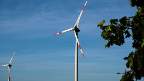 Low-angle-shot-of-wind-turbines-working-and-generating-green-electric-energy-behind-the-green-tree-in-a-wind-farm-under-blue-sky-on-a-sunny-day,-still-shot