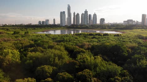 Aerial-view-of-the-ecological-reserve-of-Buenos-Aires-with-its-wild-flora,-opening-the-way-to-the-view-of-the-city-buildings