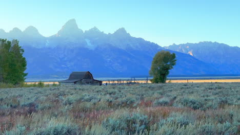 Grand-Teton-National-Park-Mormon-Row-Moulton-Barns-wind-tall-grass-fall-Aspen-golden-yellow-trees-Jackson-Hole-Wyoming-beautiful-blue-sky-late-afternoon-sunset-cinematic-pan-left-motion-slowly