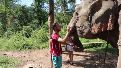 Joven-En-El-Santuario-Sonriendo-Feliz-Mientras-Alimenta-Con-La-Mano-Y-Acaricia-Al-Elefante