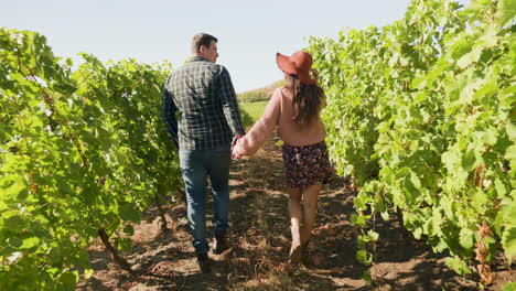 Caucasian-couple-walking-in-vineyard-holding-hands