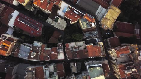 Gaviotas-Volando-Sobre-Los-Tejados-De-Los-Edificios-En-Los-Suburbios-De-Estambul