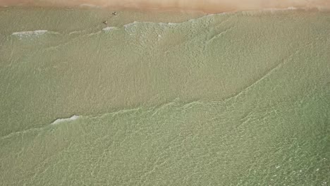 Kristallklare-Wellen,-Die-Gegen-Den-Sand-Schlagen-–-Aus-Der-Vogelperspektive