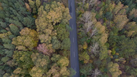 Aerial-view-of-a-winding-road-through-autumn-forest