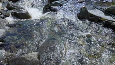 Agua-Que-Fluye-Entre-Las-Piedras-De-Un-Río-En-Un-Cañón