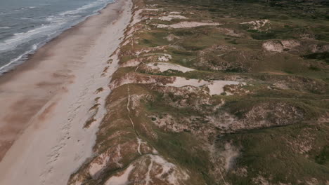 Aerial-view-of-a-long-stretch-of-beach-alongside-Danish-dunes