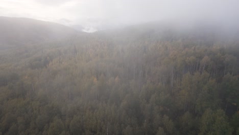 Flying-through-cloud-mist-above-fall-forest-treetop-in-American-Fork-canyon