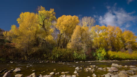 Gelbe-Herbstbäume-In-Der-Nähe-Von-Flussufern-An-Sonnigen-Tagen