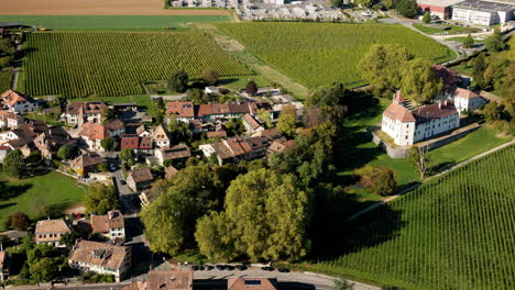 Castillo-Y-Pueblo-Medieval-En-Allaman-Con-Viñedo-La-Côte,-Cantón-De-Vaud,-Morges-Suiza