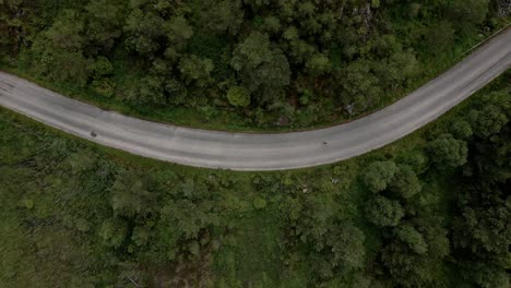 Aerial-top-down-shot-of-person-walking-on-asphalt-road-in-forest-landscape-of-Norway