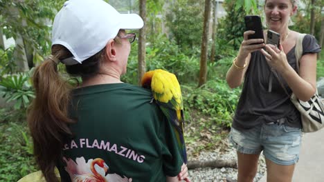 El-Periquito-Del-Sol-Se-Posa-Sobre-El-Visitante-Mientras-El-Turista-Toma-Fotos-Con-Un-Teléfono-Inteligente-En-El-Zoológico-Bird-Paradise-En-Singapur