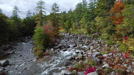 Low-flying-over-rocky-and-shallow-riverbed-along-colorful-fall-forest
