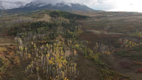 Colours-of-Fall-season,-Colorado