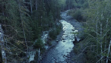 Descending-drone-shot-at-golden-hour-over-a-northwest-river-and-huge-evergreen-trees-capped-in-beatiful-light