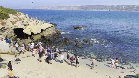 Der-Wilde-Lebensraum-Schrumpft,-Während-Touristengruppen-Nach-La-Jolla-Strömen,-Um-Mit-Wilden-Seelöwen-In-Kontakt-Zu-Kommen