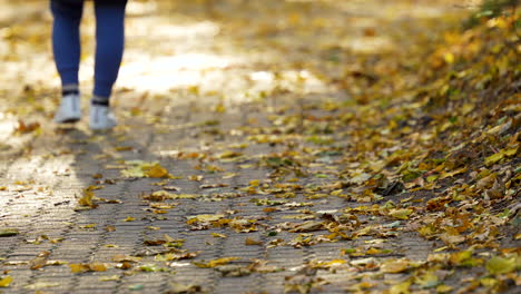 Blurred-figure-walking-on-a-leaf-strewn-path-in-autumn,-evoking-solitude