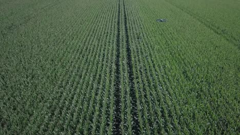 Una-Toma-De-Drones-De-Agricultura-De-Precisión