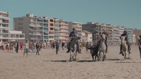 Stierkampf-Und-Pferde-Am-Strand-Von-Palavas-Les-Flots-Im-Rahmen-Der-Stadtherbstmesse,-Herault,-Frankreich