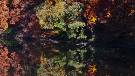 Eine-Luftaufnahme-über-Einen-Reflektierenden-See-Am-Morgen-Mit-Bunten-Herbstbäumen-Am-Ufer