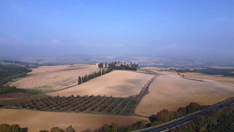 Cypress-alley-Beautiful-aerial-top-view-flight-morning-fog-Tuscany-valley-Italy-fall-23
