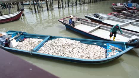 A-compact-fishing-vessel-carrying-a-load-of-petite-silverfish-and-manned-by-three-individuals