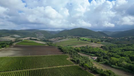 Wundervolle-Luftaufnahme-Von-Oben,-Meditative-Landschaft,-Toskanisches-Weinfeld,-Tal,-Italien,-Herbst