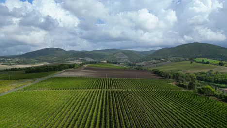 Fabulous-aerial-top-view-flight-meditative-LandscapeTuscany-Wine-field-valley-Italy-fall