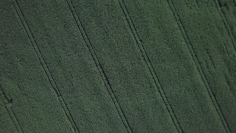 A-look-down-drone-shot-of-an-agriculture-farm
