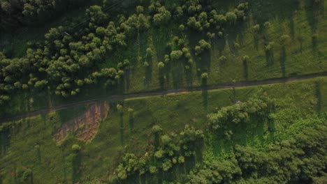 Aerial-shot-of-green-woods-and-fields-in-Russia