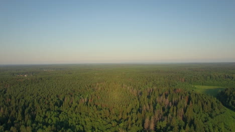 Volando-Sobre-Vastos-Bosques-Verdes-En-Rusia