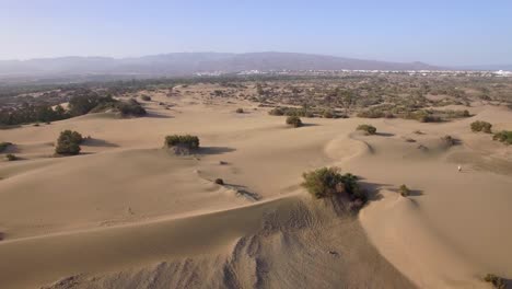 Aerial-landscape-with-sand-and-plants