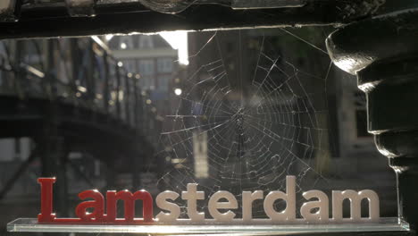 Ich-Amsterdam-Und-Spinnennetz