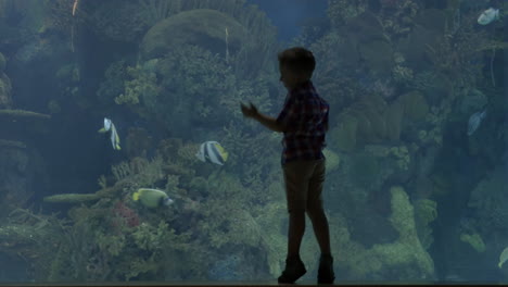 Blick-Auf-Einen-Kleinen-Blonden-Jungen,-Der-In-Der-Nähe-Eines-Aquariums-Mit-Krabben-In-Valencia,-Spanien,-Steht