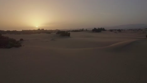 Aerial-view-of-nature-with-sand-dunes-and-green-plants