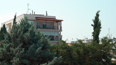 View-on-building-with-trees-on-foreground