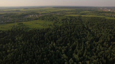 Luftflug-über-Dem-Riesigen-Grünen-Wald-Russland