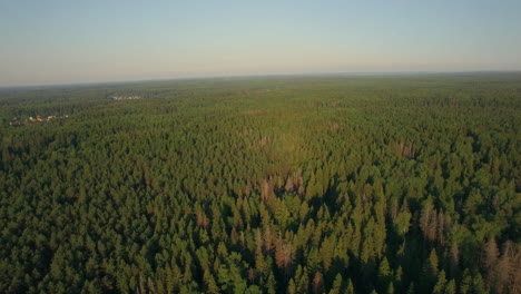 Luftflug-über-Dem-Riesigen-Grünen-Wald-Russland