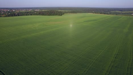 Vuelo-Aéreo-Sobre-El-Campo-Agrícola-Con-Hierba-Verde-Rusia