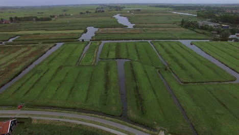 Aerial-view-of-agricultural-fields-in-Netherlands