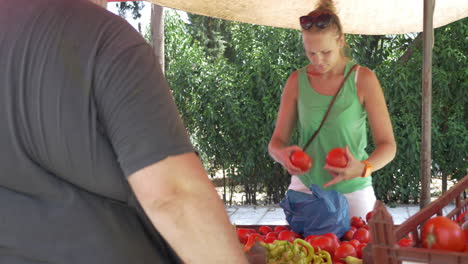 Junge-Frau-Kauft-Tomaten-Am-Straßenhändlerstand
